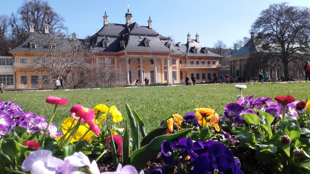 Der schöne Schlosspark Pillnitz.