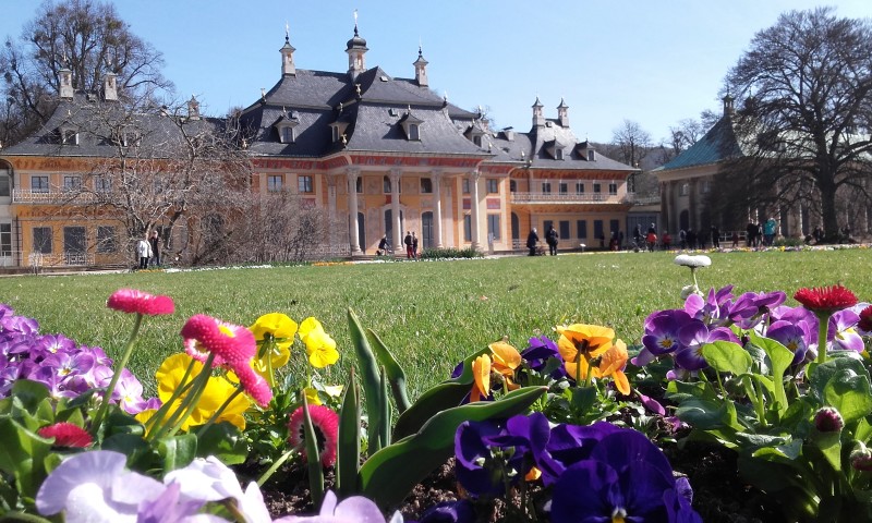 Der schöne Schlosspark Pillnitz.