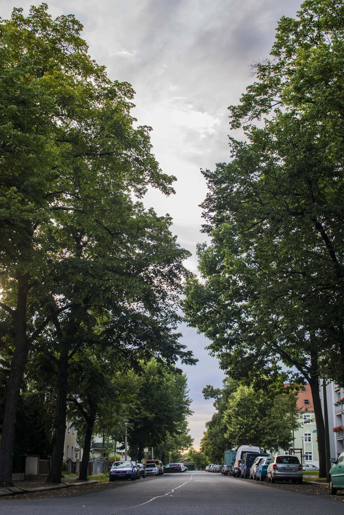 Die Kadenstraße liegt ruhig und von Bäumen gesäumt.