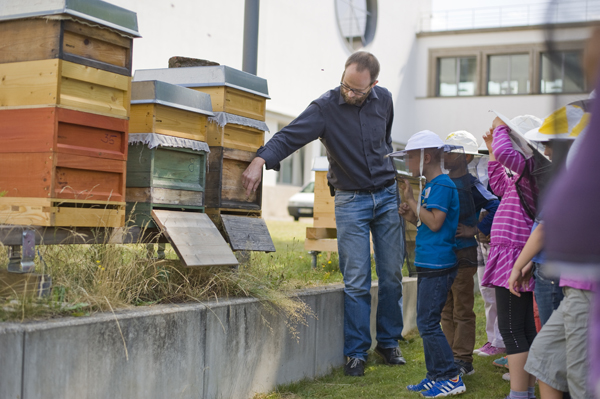 Die Bienenführungen sind für Grundschulkinder immer sehr spannend!