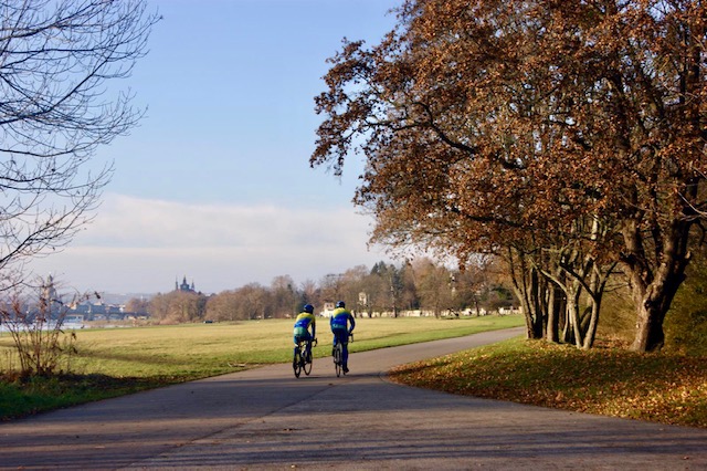 Fahrradfahrer auf dem Elberadweg