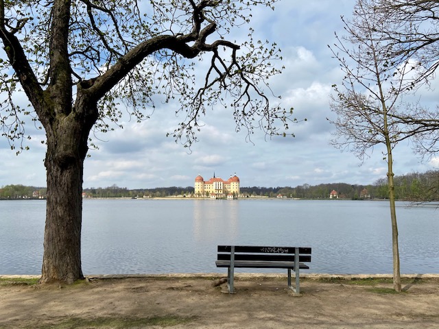 Man sieht das Schloss Moritzburg hinter dem großen Teich 