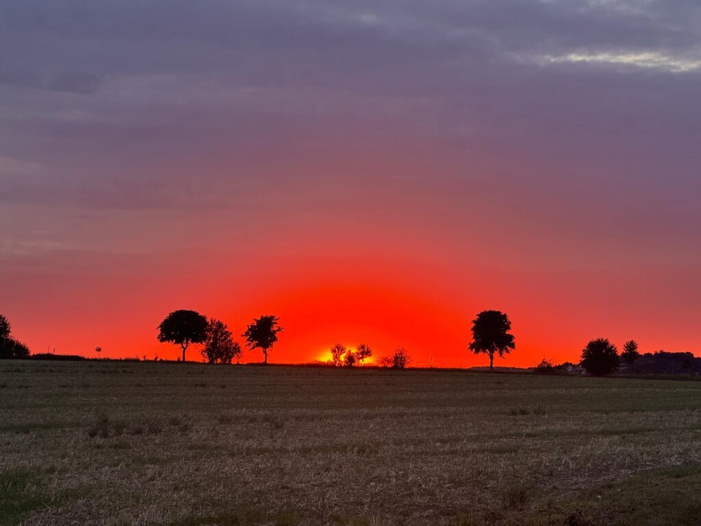 Der Sonnenuntergang von der Babisnauer Pappel aus