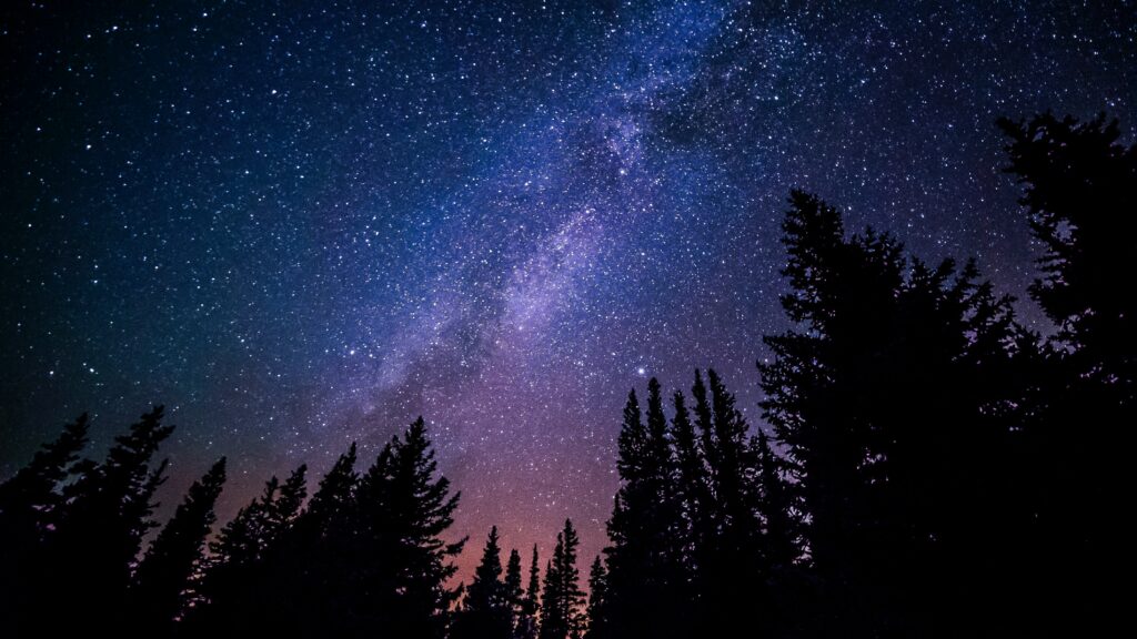 Bäume vor einem Himmel voller Sternschnuppen.