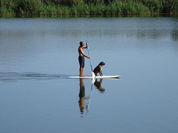 Stand Up Paddle mit Hund