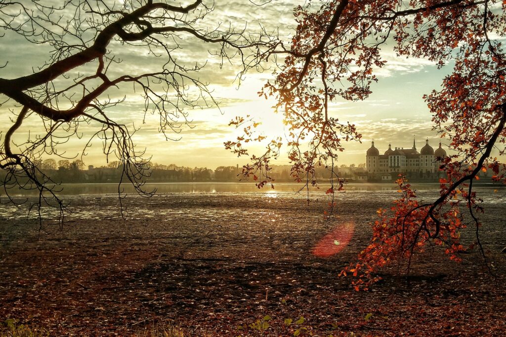 Blick auf das Schloss Moritzburg vor tiefstehender Herbstsonne.