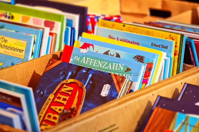 Viele Kinderbücher sind in Kisten sortiert