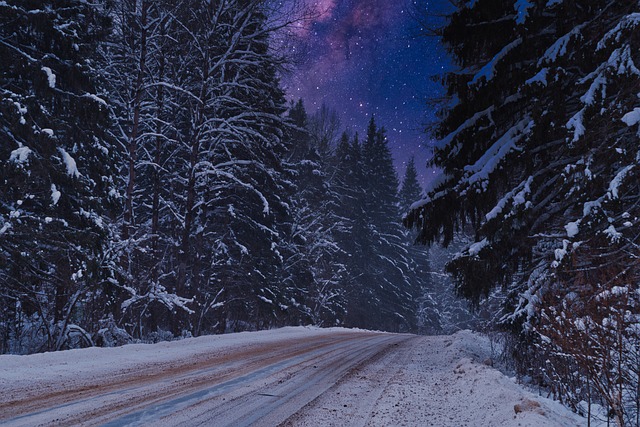 Verschneiter Wald und Nachthimmel
