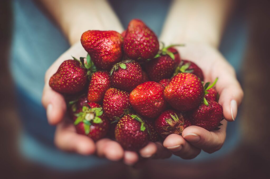 eine Hand voll Erdbeeren