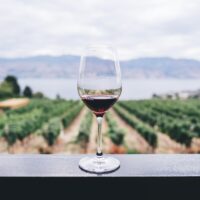 Weinglas steht auf einer Mauer mit Ausblick auf eine Weinplantage