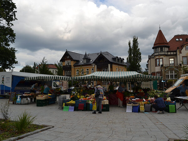 Der Wochenmarkt mit Ständen am Wasaplatz