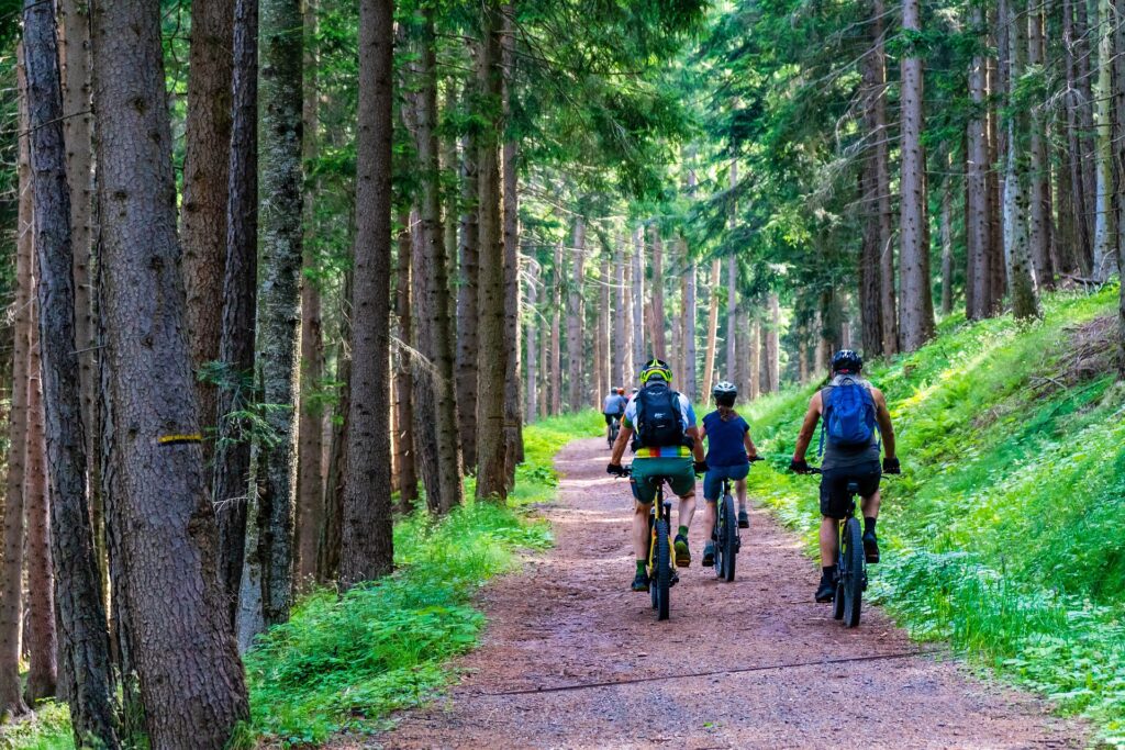Radfahrer fahren durch den Wald