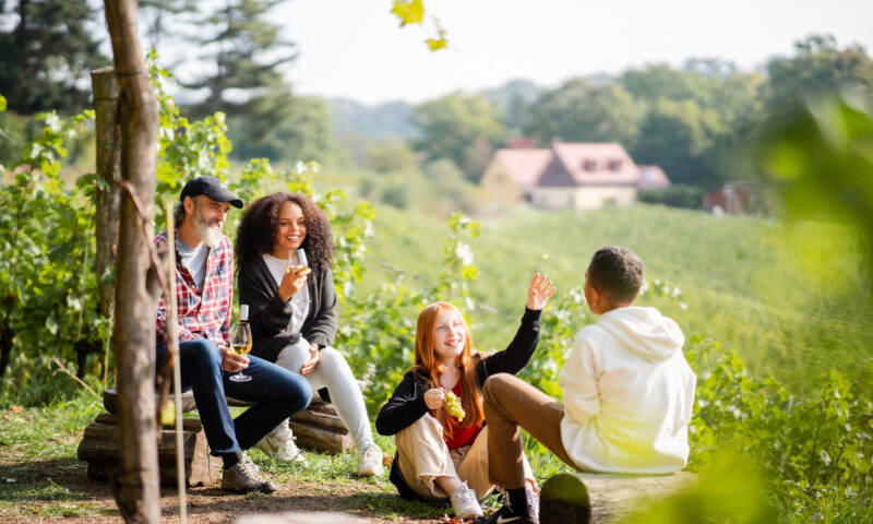 Eine Familie sitzt nach einem Wanderausflug an einem Weinhang und genießt den Tag des offenen Weingutes im Elbland.