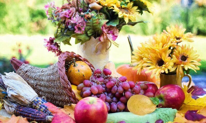 Herbst- und Wienfest in Radebeul, Die Früchte des Sommers genießen