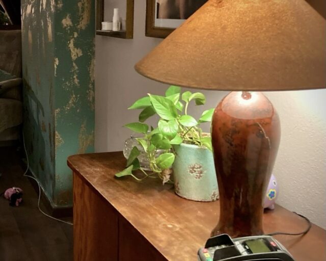 Sideboard mit Lampe, grüner Pflanze und Kartenlesegerät
