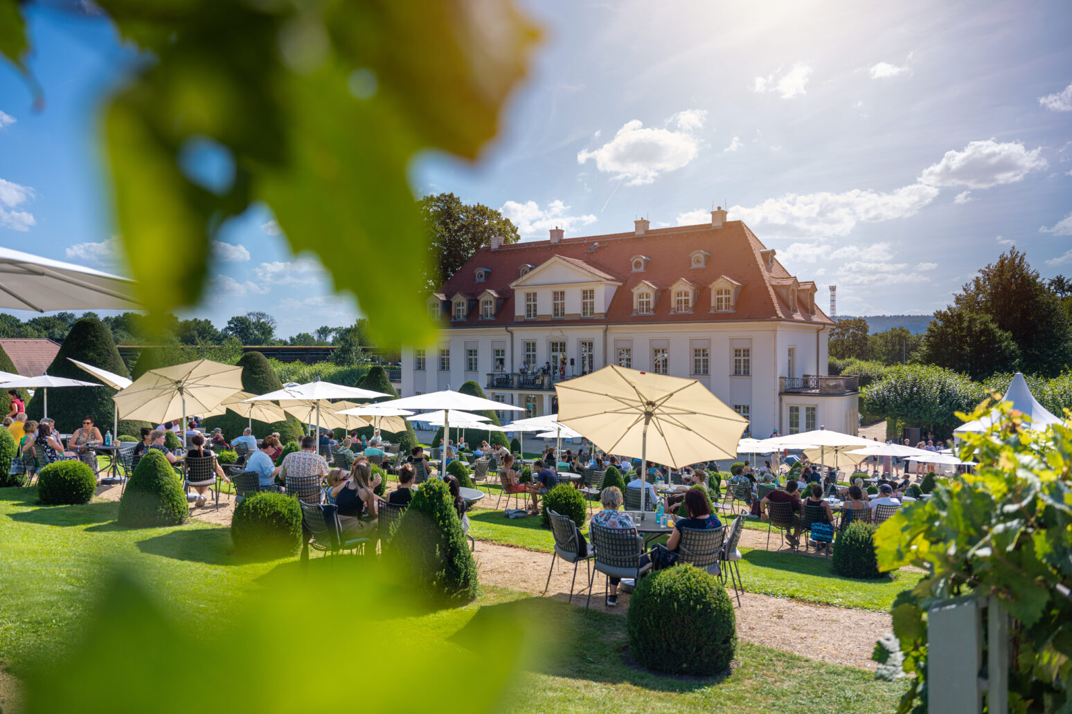 Viele Besucher an Tischen vor dem Schloss Wackerbarth unter Sonnenschirmen