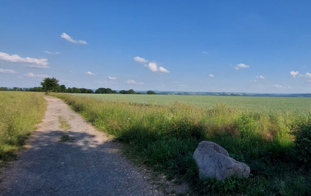Weite grüne Wiese an der Babisnauer Pappel